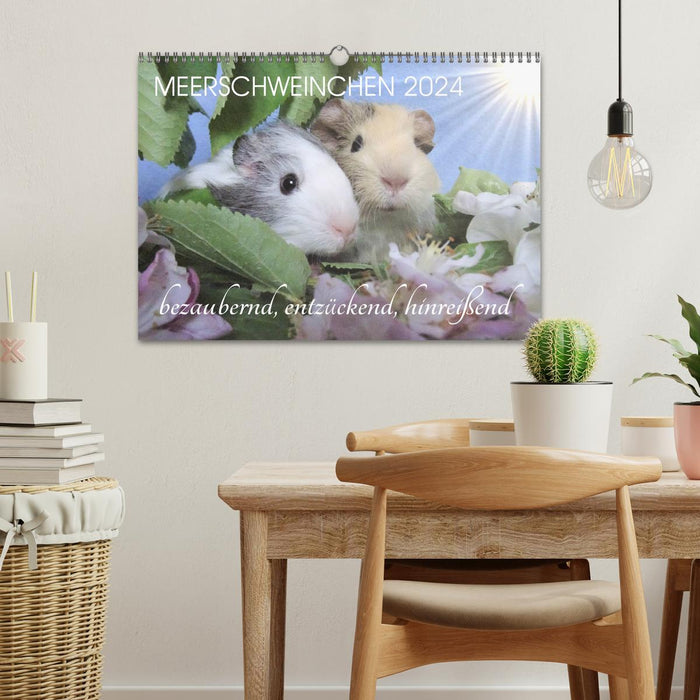 Guinea pig 2024 - adorable, adorable, adorable (CALVENDO wall calendar 2024) 