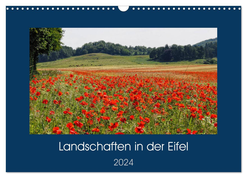 Landscapes in the Eifel (CALVENDO wall calendar 2024) 