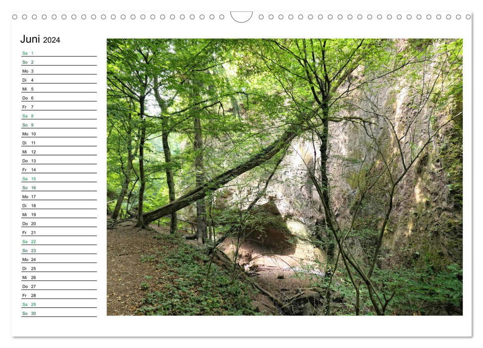 Landschaften in der Eifel (CALVENDO Wandkalender 2024)