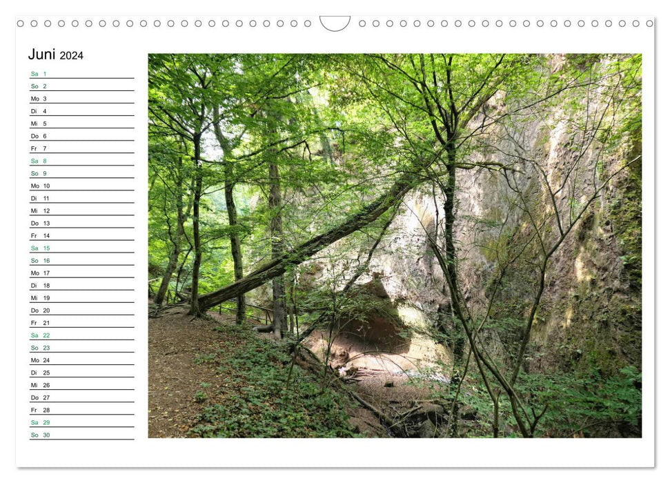 Landscapes in the Eifel (CALVENDO wall calendar 2024) 