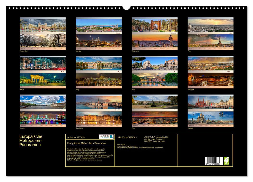 European metropolises - panoramas (CALVENDO wall calendar 2024) 