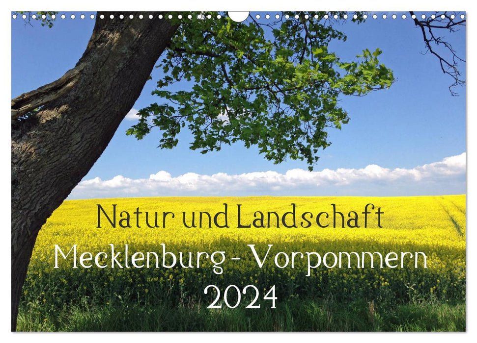 Nature and landscape Mecklenburg - Western Pomerania 2024 (CALVENDO wall calendar 2024) 