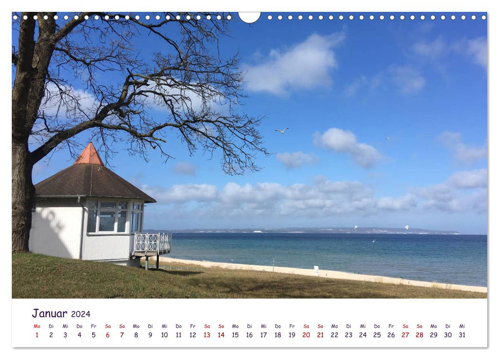 Nature and landscape Mecklenburg - Western Pomerania 2024 (CALVENDO wall calendar 2024) 