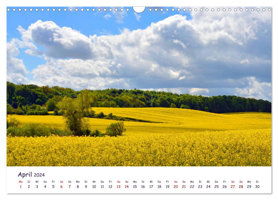 Nature and landscape Mecklenburg - Western Pomerania 2024 (CALVENDO wall calendar 2024) 