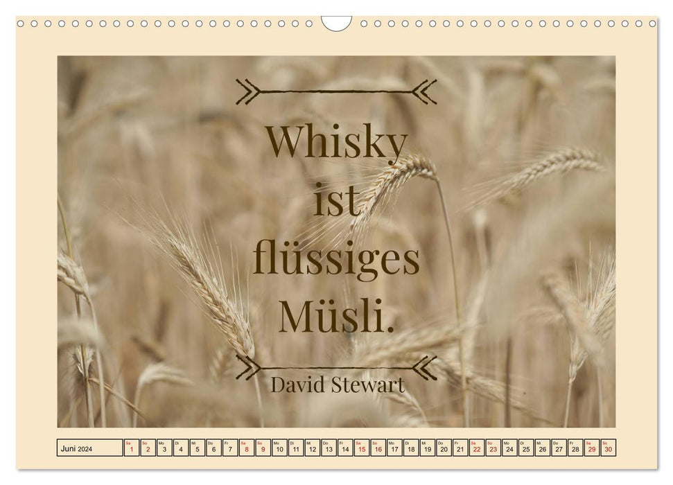 Whiskey wisdom (CALVENDO wall calendar 2024) 