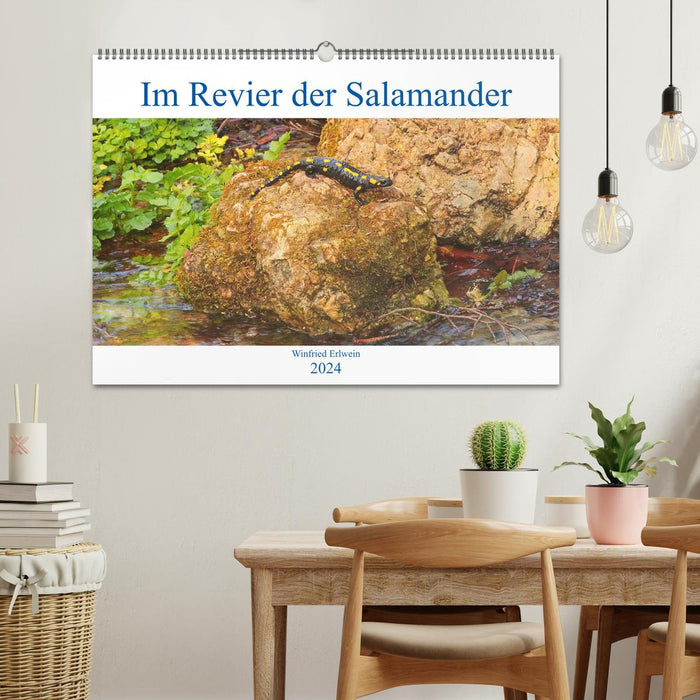 In the territory of the salamanders (CALVENDO wall calendar 2024) 