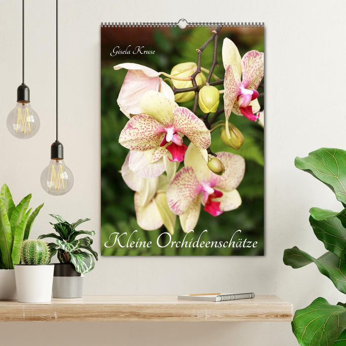 Small orchid treasures (CALVENDO wall calendar 2024) 