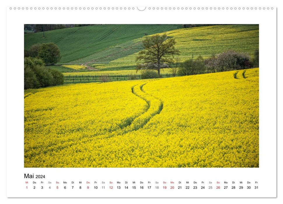 Impressions from East Westphalia-Lippe (CALVENDO Premium Wall Calendar 2024) 