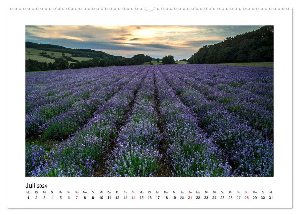 Impressionen aus Ostwestfalen-Lippe (CALVENDO Premium Wandkalender 2024)