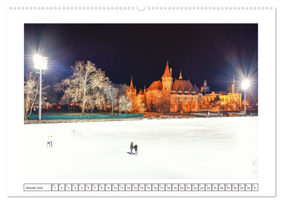 Greetings from Budapest (CALVENDO wall calendar 2024) 