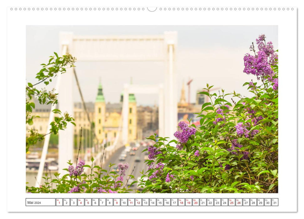 Greetings from Budapest (CALVENDO wall calendar 2024) 