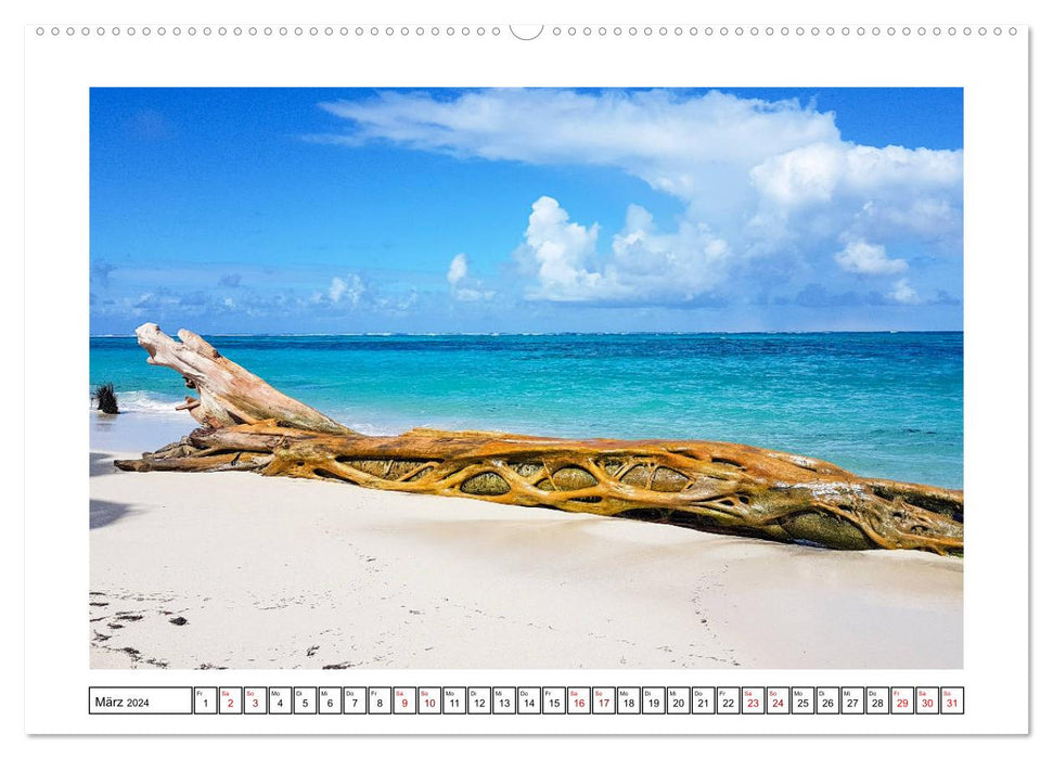 Dominikanische Karibik (CALVENDO Premium Wandkalender 2024)