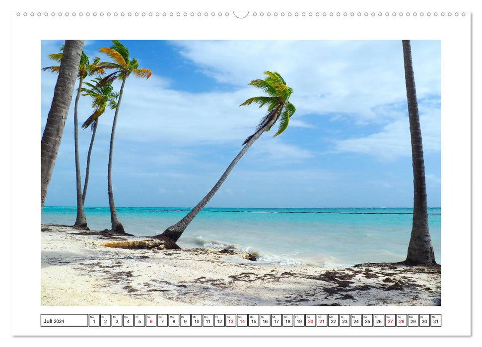 Dominican Caribbean (CALVENDO Premium Wall Calendar 2024) 