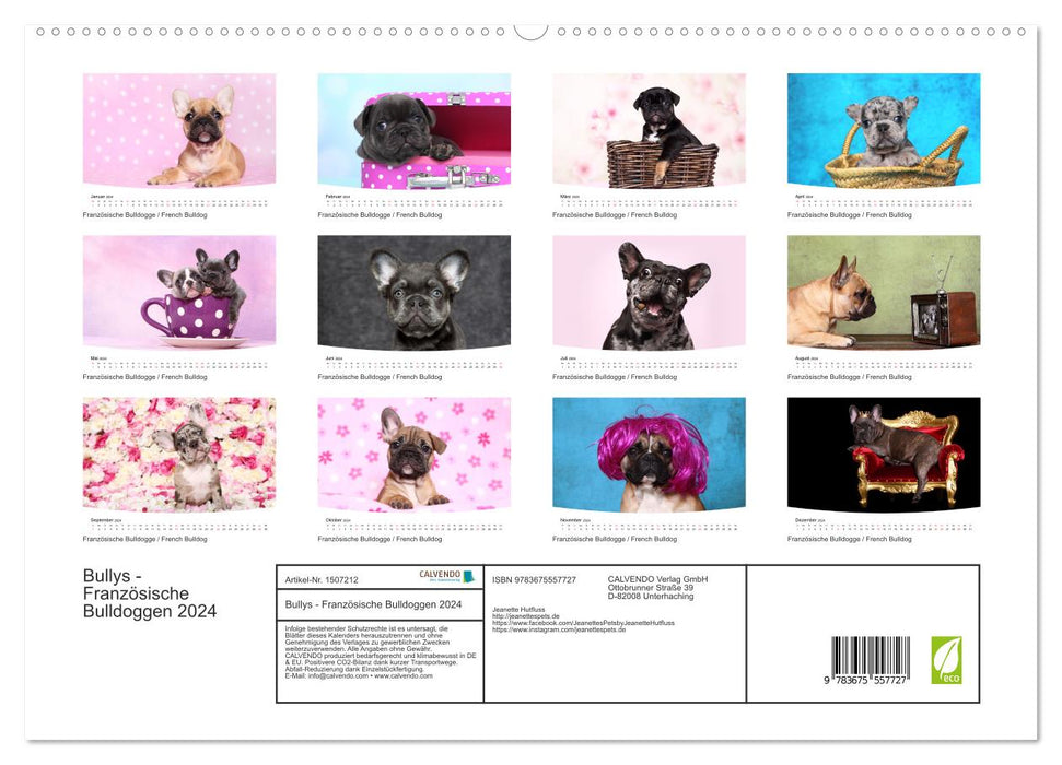 Bullies - French Bulldogs 2024 (CALVENDO Premium Wall Calendar 2024) 