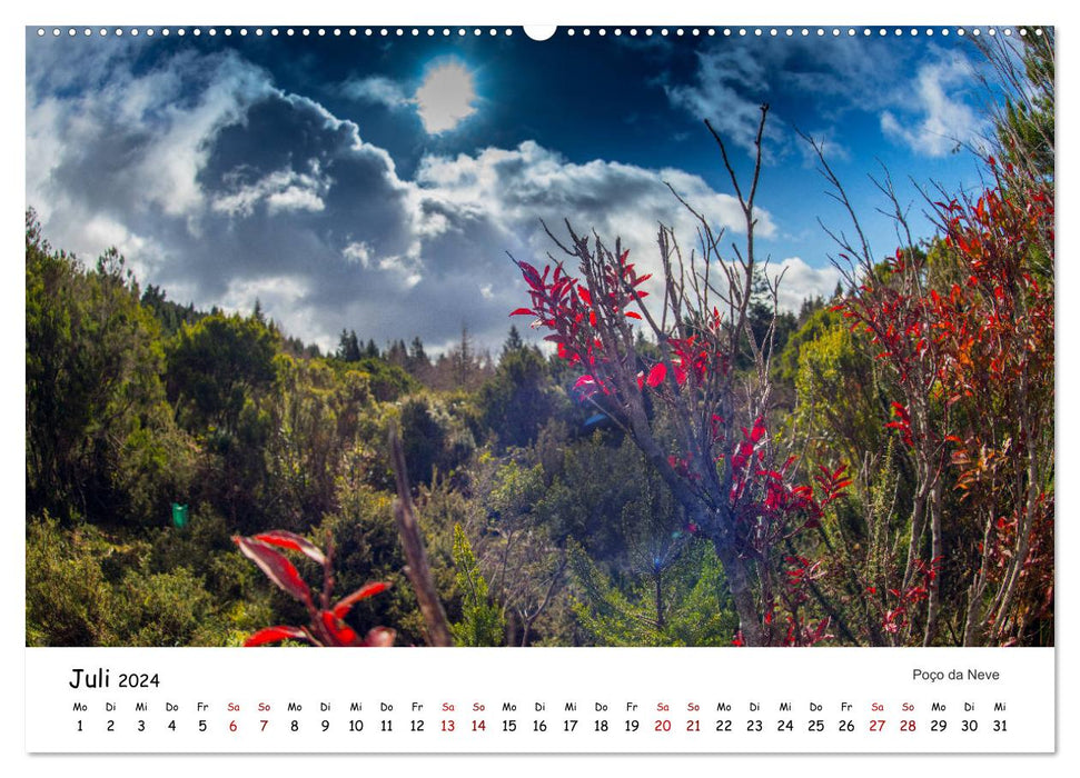 Madeira Magic (CALVENDO Premium Wall Calendar 2024) 