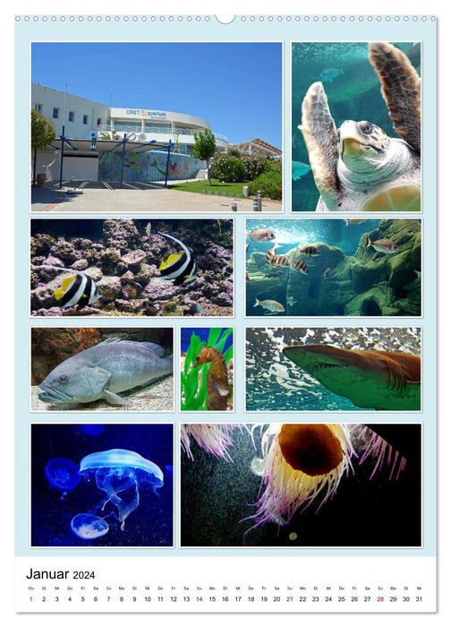 Inseltraum Kreta - Sehenswerte Ausflugsziele (CALVENDO Premium Wandkalender 2024)