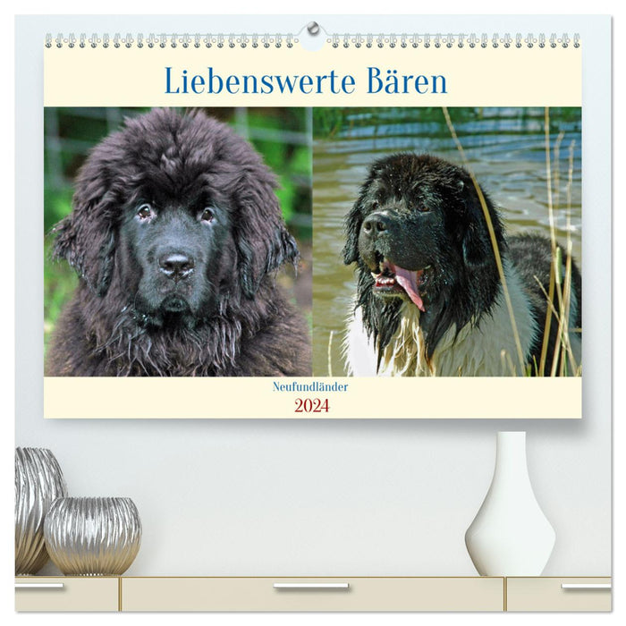 Neufundländer - Liebenswerte Bären (CALVENDO Premium Wandkalender 2024)