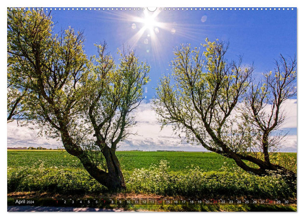 OSTFRIESLAND-LIEBE (CALVENDO Premium Wandkalender 2024)