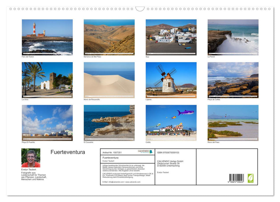 Herbe Schönheit Fuerteventura (CALVENDO Wandkalender 2024)