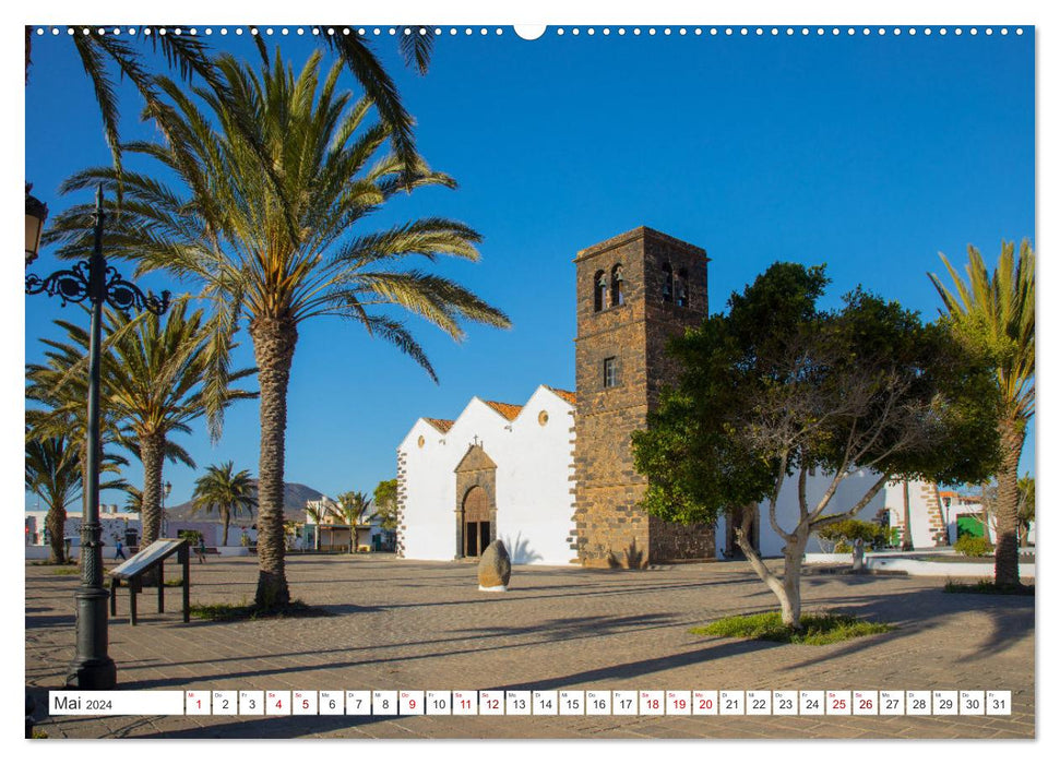 Herbe Schönheit Fuerteventura (CALVENDO Wandkalender 2024)