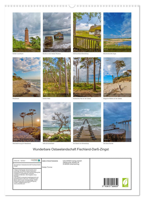 Wunderbare Ostseelandschaft Fischland-Darß-Zingst (CALVENDO Premium Wandkalender 2024)