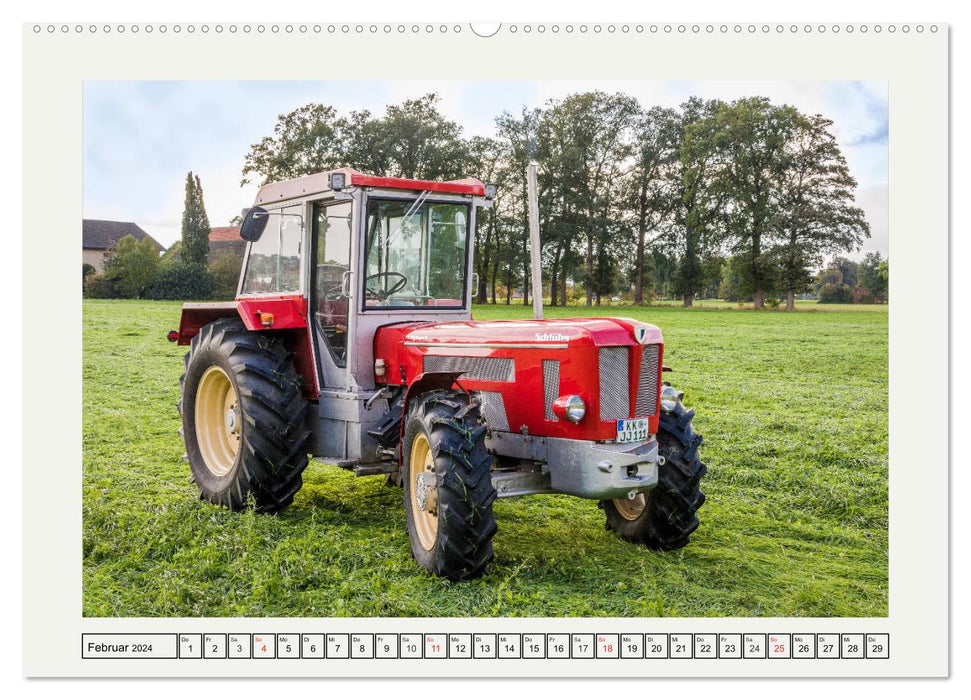 Alte Schätzchen - Traktoren (CALVENDO Premium Wandkalender 2024)