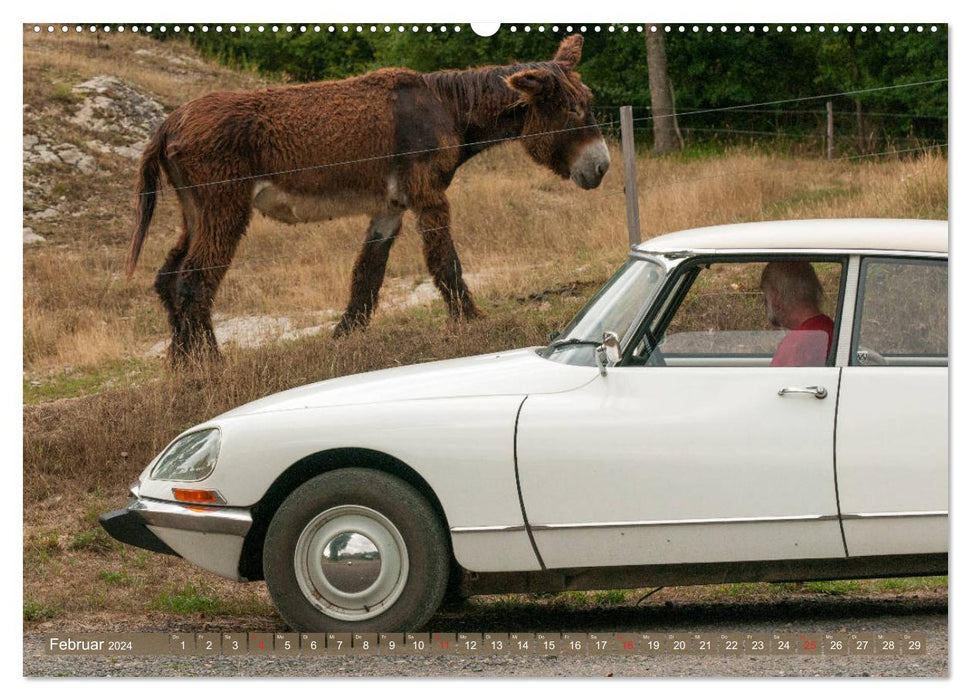 Citroën DS Göttin im Mittelrheintal (CALVENDO Premium Wandkalender 2024)