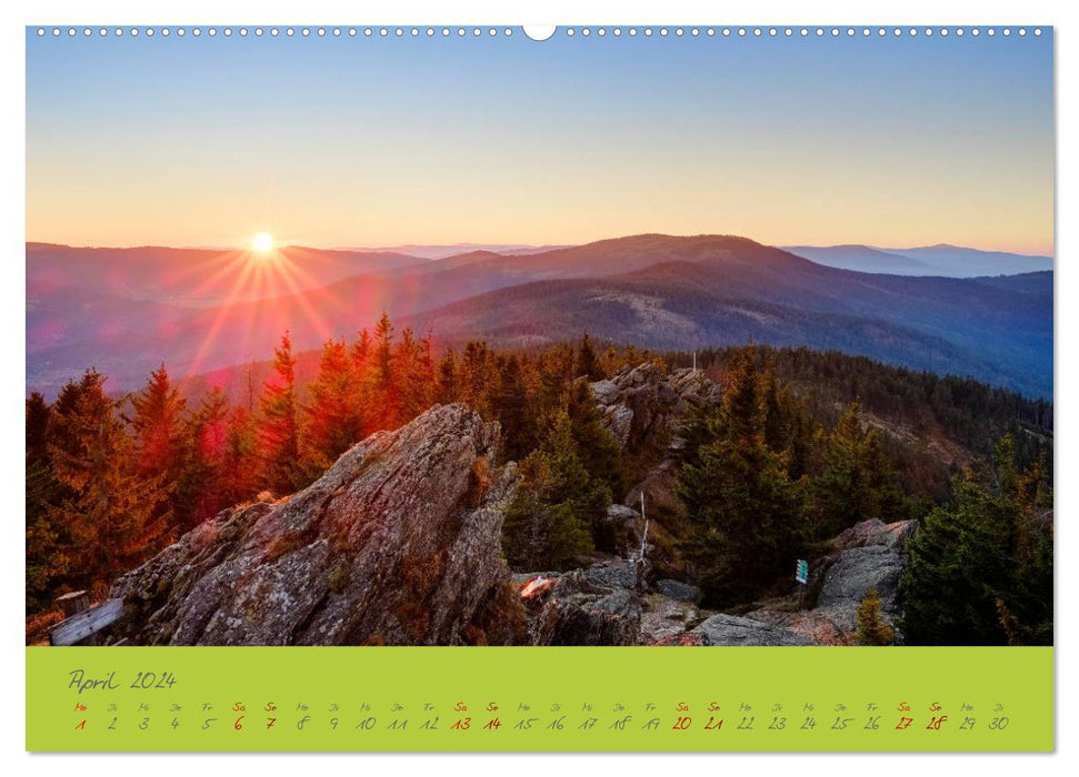 Der Bayerische Wald (CALVENDO Premium Wandkalender 2024)