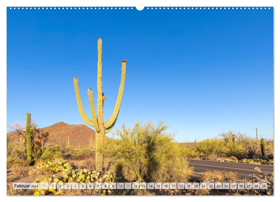 SAGUARO NATIONAL PARK Heimat des Saguaro-Kaktus (CALVENDO Premium Wandkalender 2024)