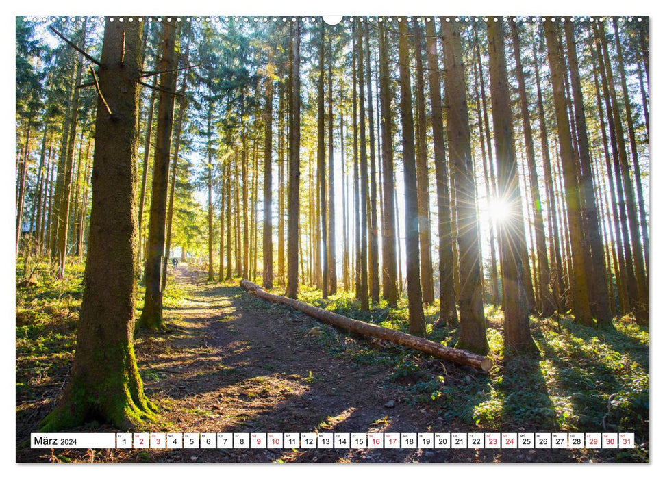 Forêt Noire idyllique (Calvendo Premium Calendrier mural 2024) 