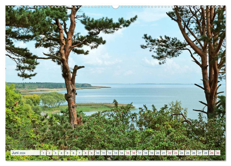 Kurische Nehrung: am längsten Ostsee-Strand (CALVENDO Premium Wandkalender 2024)