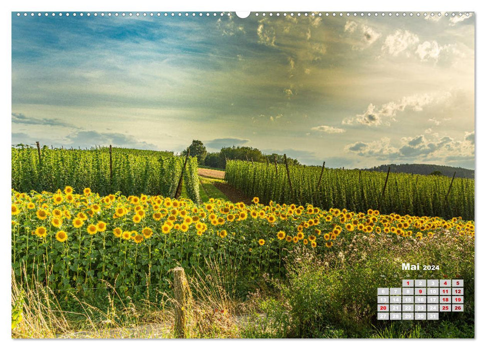 Hopfenland Holledau (CALVENDO Premium Wandkalender 2024)