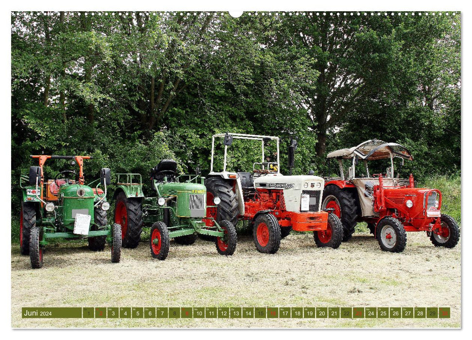 Traktoren - Altgediente Veteranen (CALVENDO Premium Wandkalender 2024)