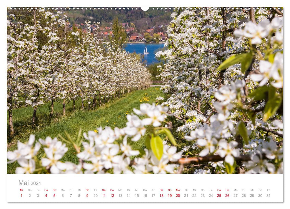 BODENSEE Drei Länder - ein See (CALVENDO Premium Wandkalender 2024)