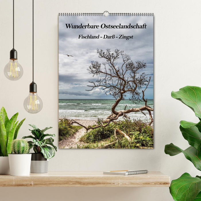 Wunderbare Ostseelandschaft Fischland-Darß-Zingst (CALVENDO Wandkalender 2024)