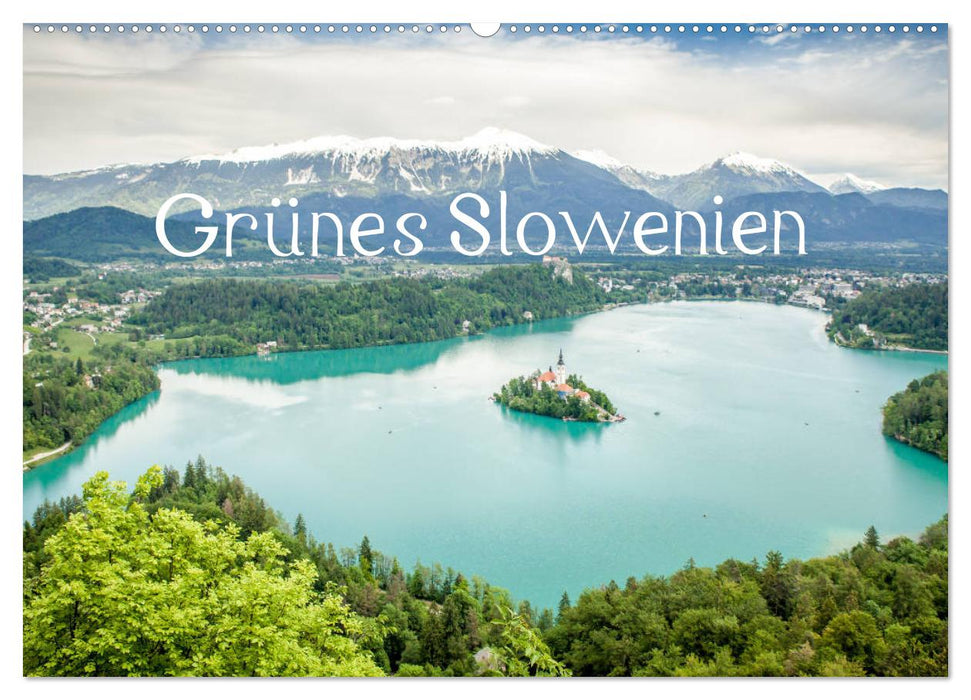 Grünes Slowenien (CALVENDO Wandkalender 2024)