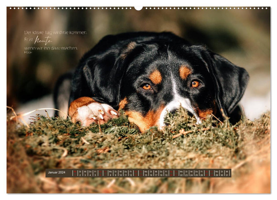 Seelenglück Kalender - Charakter, Stärke, Weisheit (CALVENDO Wandkalender 2024)