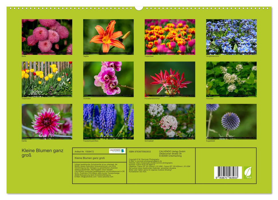 Kleine Blumen ganz groß (CALVENDO Premium Wandkalender 2024)