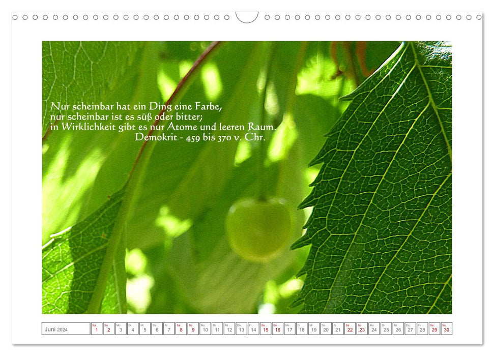 Quantum physical reflection calendar (CALVENDO wall calendar 2024) 