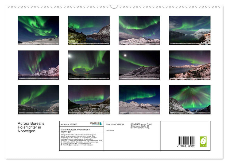 Aurora Borealis: Polarlichter in Norwegen (CALVENDO Premium Wandkalender 2024)