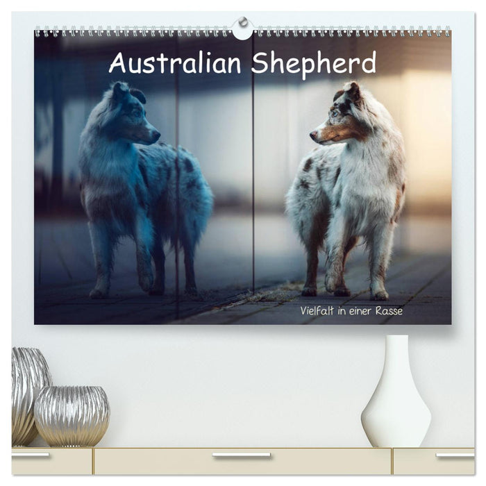 Australian Shepherd - Vielfalt in einer Rasse (CALVENDO Premium Wandkalender 2024)