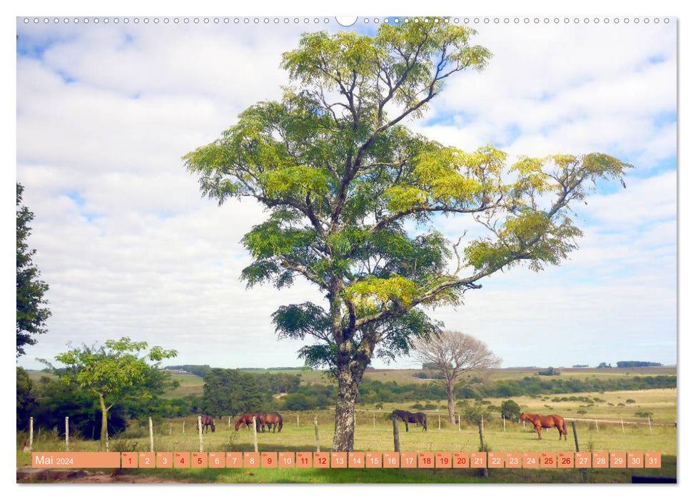 Uruguay - Bienvenido al Río de la Plata (CALVENDO Wandkalender 2024)