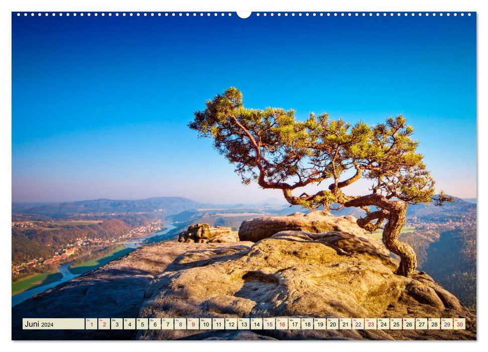 Montagnes de grès de l'Elbe - un voyage à travers la belle Suisse saxonne (calendrier mural CALVENDO 2024) 