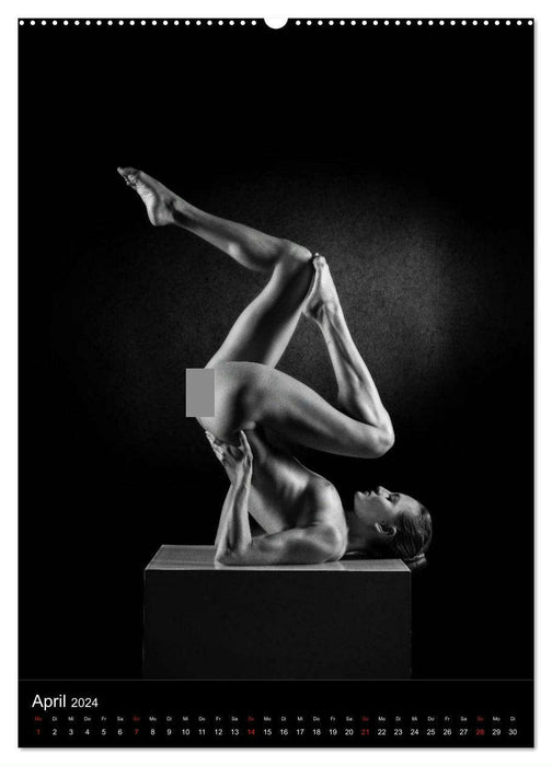 BODY SCULPTURE (CALVENDO Premium Wandkalender 2024)