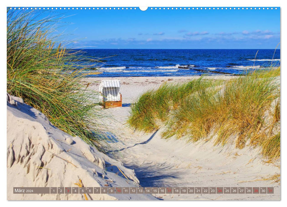 Hiddensee Island - Dat söte Länneken (CALVENDO Premium Wall Calendar 2024) 