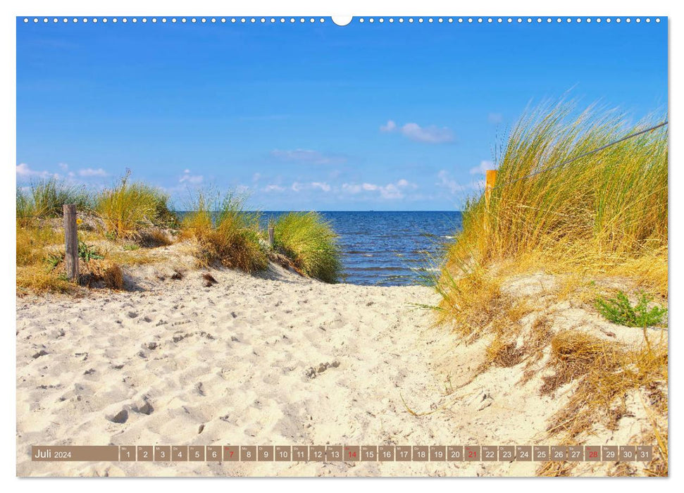 Poel Island - Time out on the Baltic Sea (CALVENDO Premium Wall Calendar 2024) 
