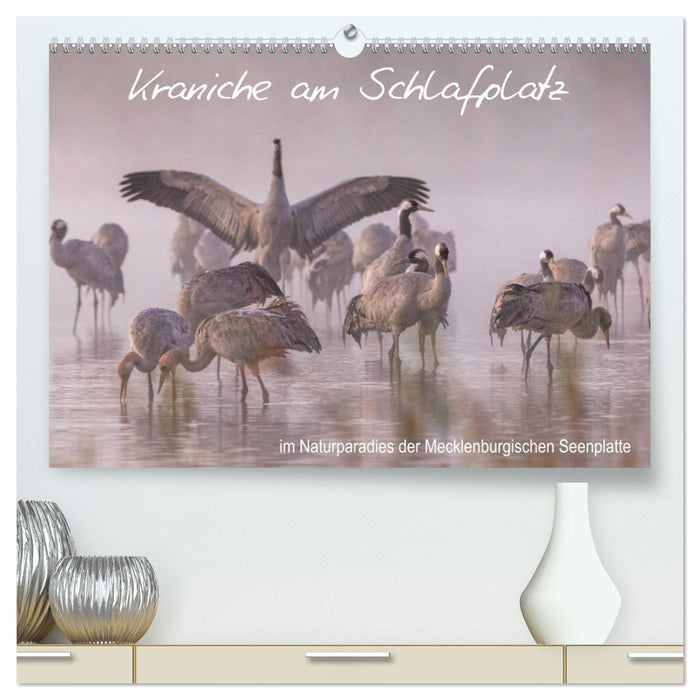 Kraniche am Schlafplatz - im Naturparadies der Mecklenburgischen Seenplatte (CALVENDO Premium Wandkalender 2024)