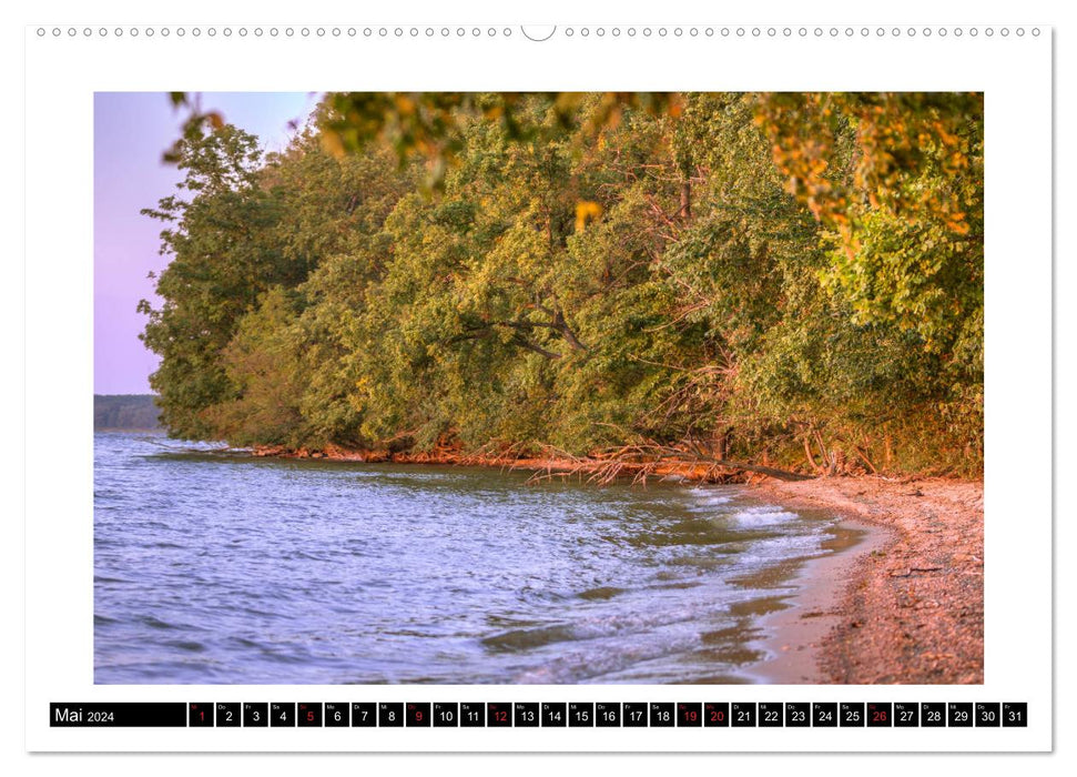 Die Müritz - Naturparadies der Mecklenburgischen Seenplatte (CALVENDO Premium Wandkalender 2024)