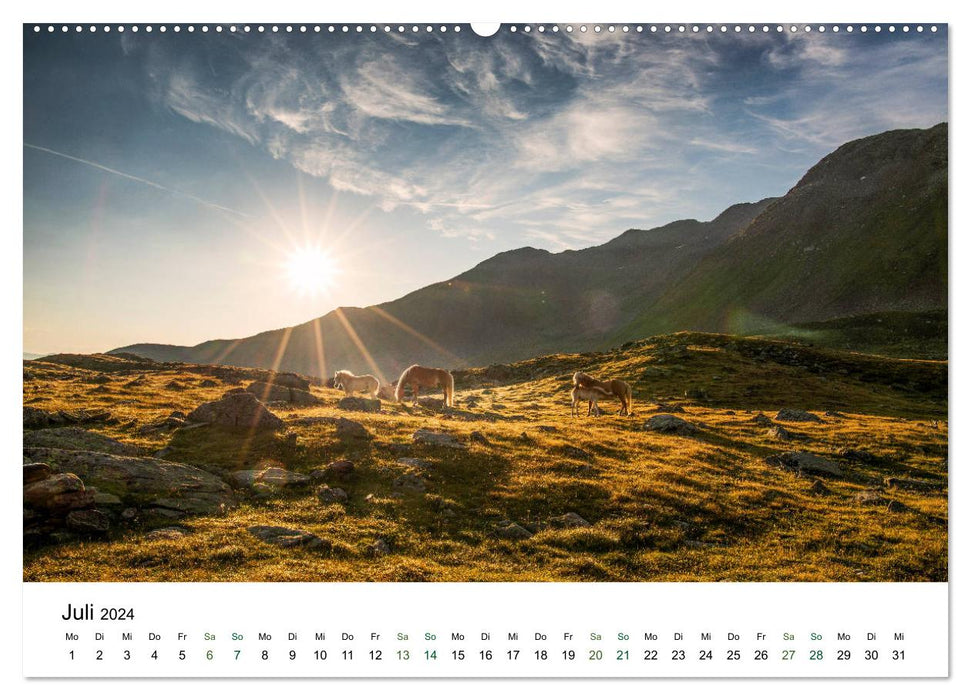 Ultental - A year in pictures (CALVENDO Premium Wall Calendar 2024) 