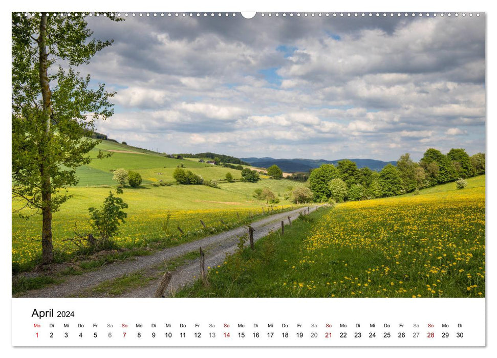 Sauerland - My favorite country (CALVENDO Premium Wall Calendar 2024) 